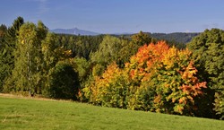 Podzim v Bedřichově