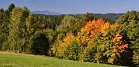 Podzim v Bedřichově