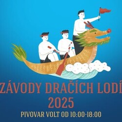 Závody dračích lodí